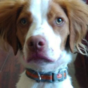 Meet your Posher, Shelly